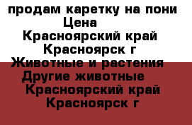  продам каретку на пони › Цена ­ 25 - Красноярский край, Красноярск г. Животные и растения » Другие животные   . Красноярский край,Красноярск г.